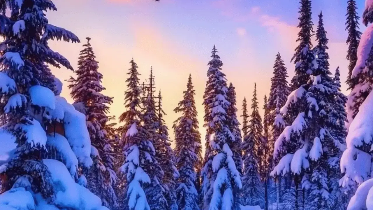 Step Into A Wintery Wonderland: Best Places To Travel In December